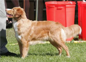 2_5_ar_zarina_sta_400