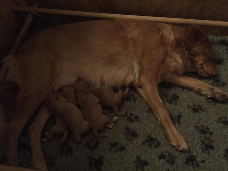 10904284_10153010424001369_374763340_n