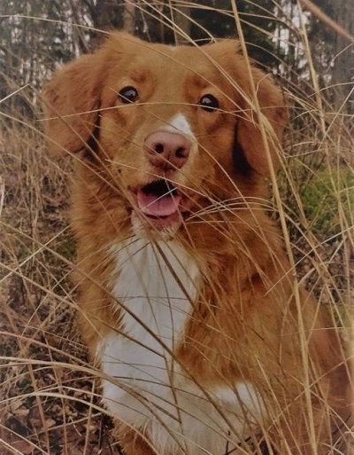 16681670_10154550879818655_6114831673068127053_n 2