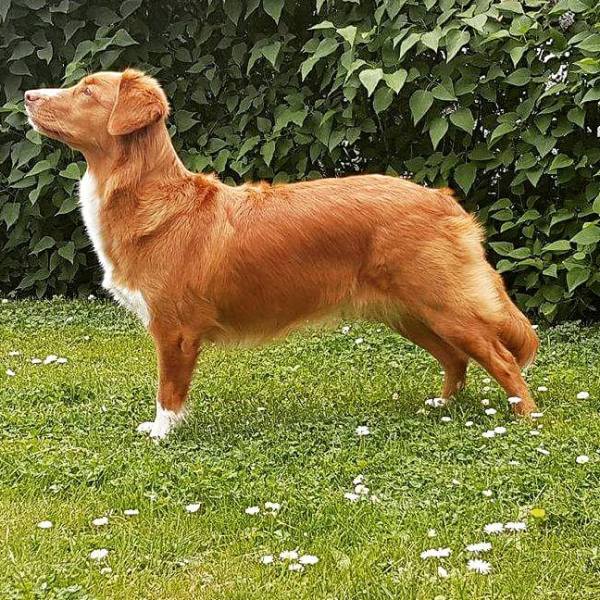 18839277_10154856653208655_614237626511884977_n