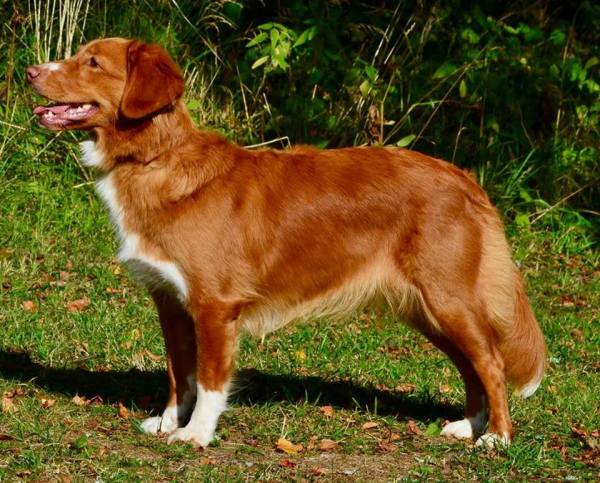 20882218_10155085677818655_1643413299817876936_n