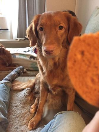 10841291_10152913096966369_302343201_n