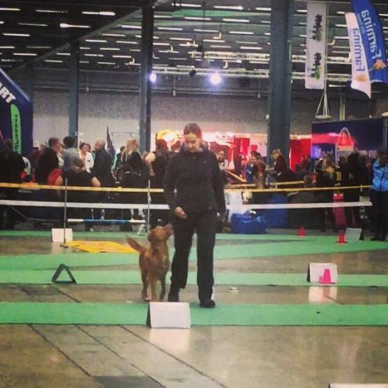 10859489_10152934133301369_663376575_n