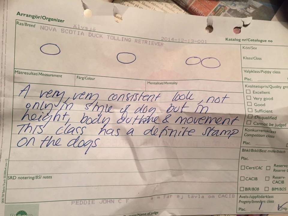 10872390_10152934113561369_712155704_n