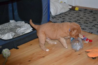 10884059_10153070033986369_527212112_o