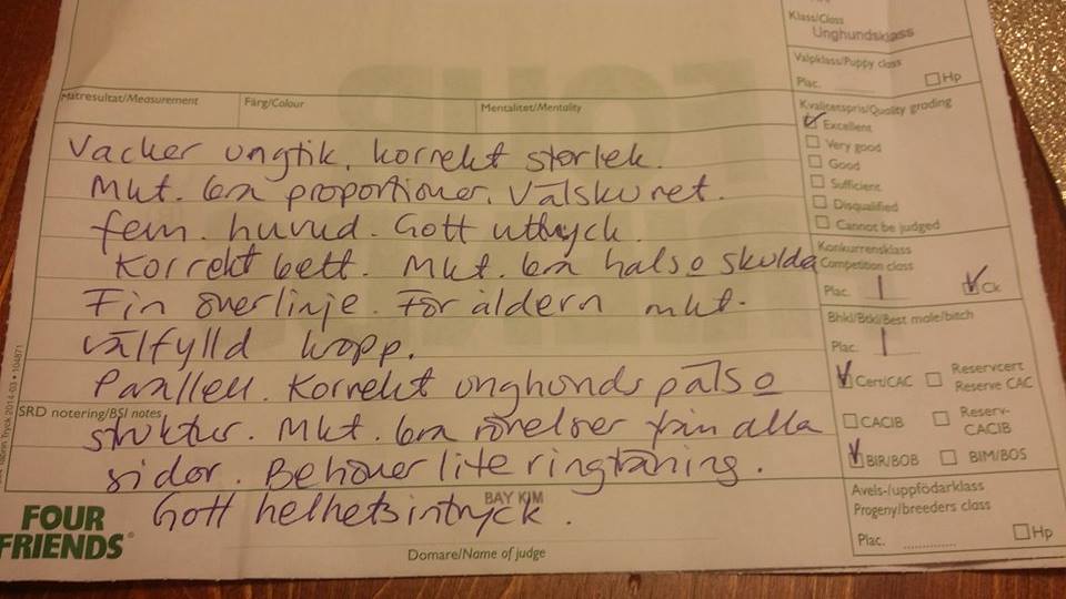 10942205_10152742258888655_1264999007_n