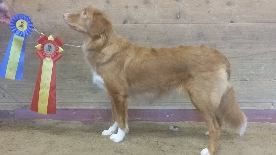 10947494_10152742251013655_223651783_n