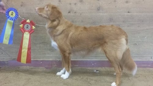 10947494_10152742251013655_223651783_n