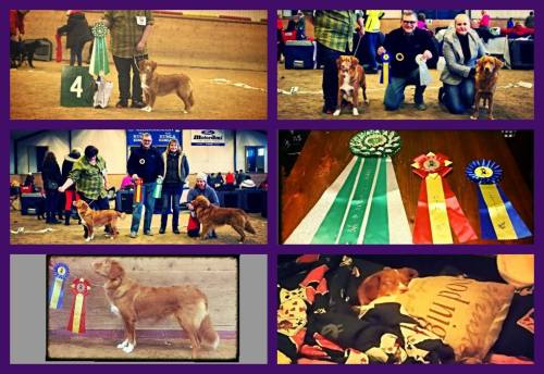 10950267_10152742256658655_800890188_o