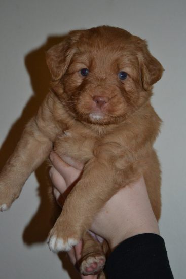 10961012_10153070034626369_1094694463_o