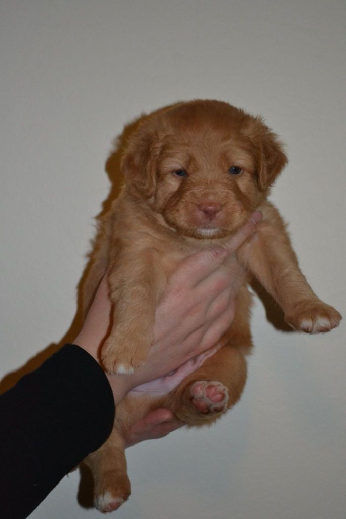 10967355_10153070034121369_534048978_o