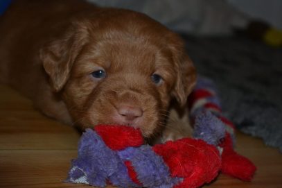 10967364_10153070033956369_1446662264_o