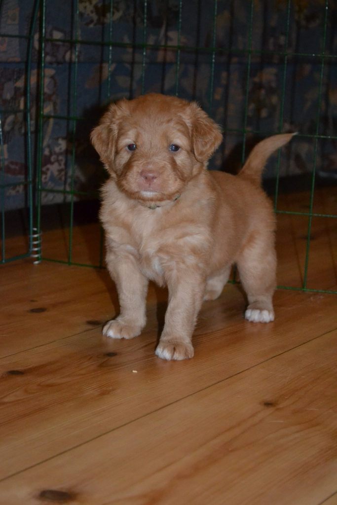 10968778_10153070034156369_1793428927_o