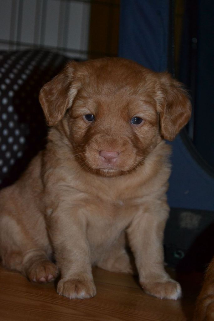 10968966_10153070034186369_665671865_o