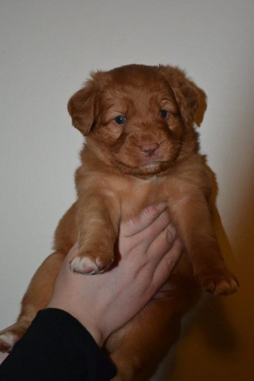 10969185_10153070034616369_1652375010_o