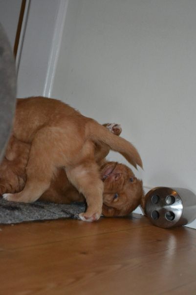 10969260_10153070034106369_1857698422_o