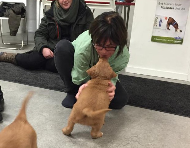 11023030_10153123283001369_181479367_n