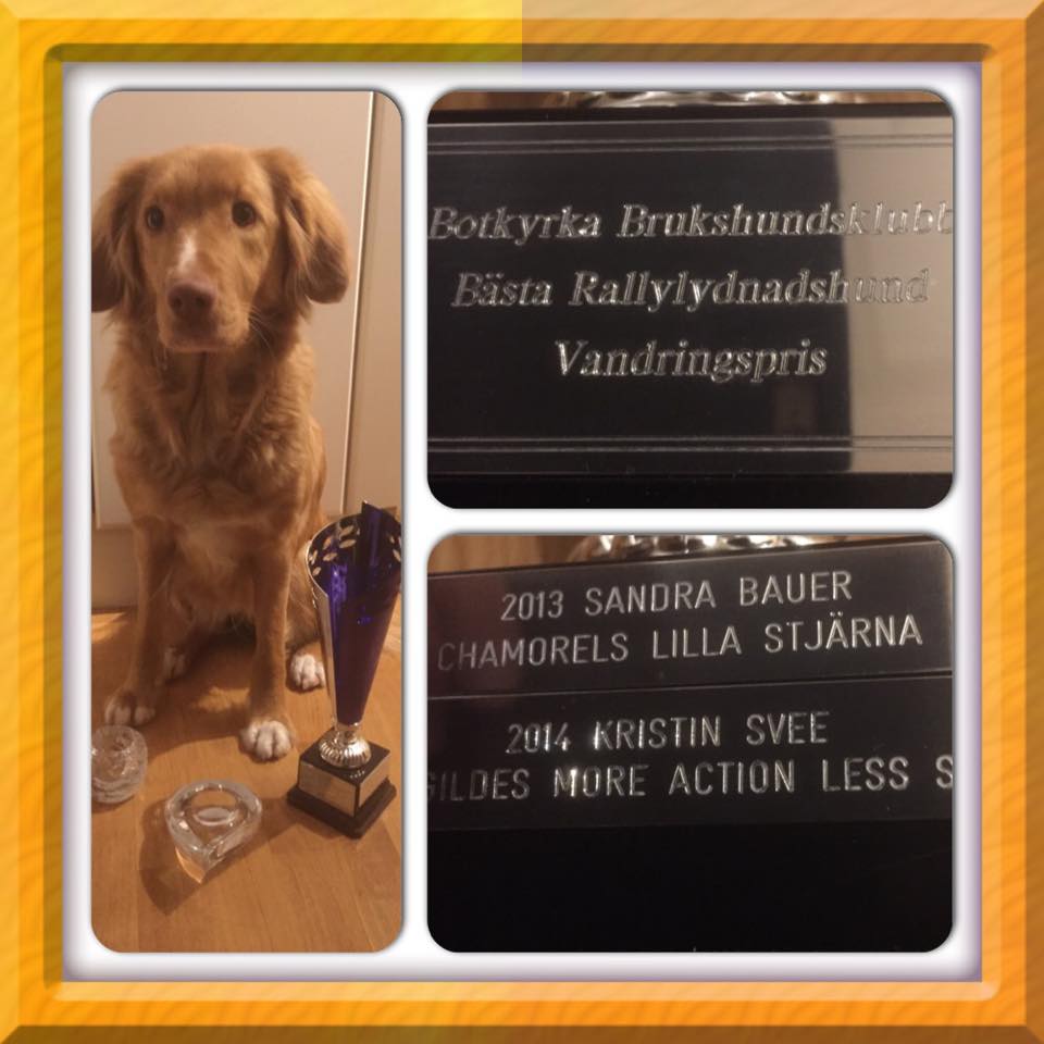 11004867_10153124332781369_1147236951_n