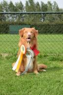 11050866_667682423331909_5840302712525775903_n