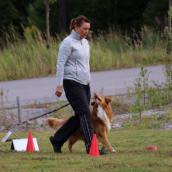 11949343_10153622059917258_7974124572892537538_n