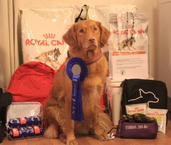 11951238_10153368150207935_8490052002635029486_n