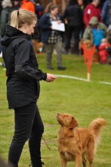 a-FRR1VcrUAajs0ab-7X9gWRVqPcXrsFv6MYwooLi_E,pyKQ37unmgDY1ZGgje3f_dDrlPnQHbZYdiNtS3TnkJY