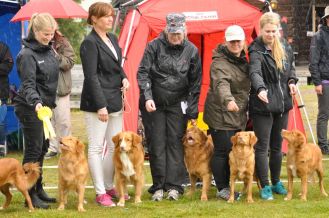 bkzEz9vwrndZJzRyCgMiQHucnImV1FP5EizdjoHGMTU,Su08Qt0Ih4GPU8T9Y0Yf_VLJH55avsfHBees8AL7NA4