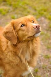 cQE7Gj8afXLYh7YZiJ52FgNAFyLELR1aVo5M6K4vlc4,9jz-xuBtF8BLkxBTBxyACEFCn4d9gHEkdPeIR3npCgU