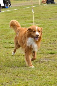 FJB5MLT407TqJjQBXw2pf2bsHch7Q41ldY6gs8Iq-iA,CMa8CvR91vJRnkzIPJJ_JvU6VVJQ4OFdCGhGeSG3wcQ