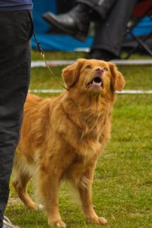 mPxOlnlB2mRYoLqjE1xWSpw6nVuIAgGTq05otUVKqH8,gv2CfGckaFhz_qK0_marNrb3em1OXCGFvhdGWuTcWOE