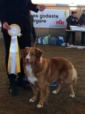 1610795_10153701667957258_886964333201497605_n