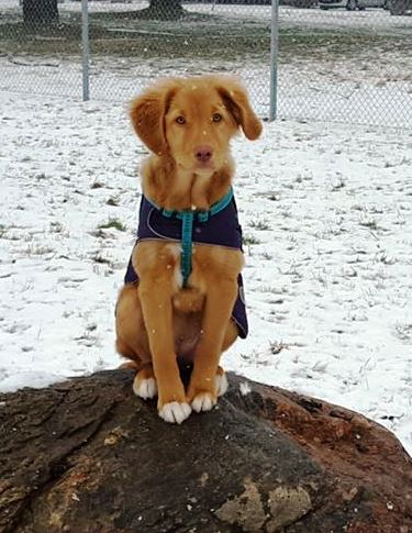 12991998_10153539738458461_569855927_o