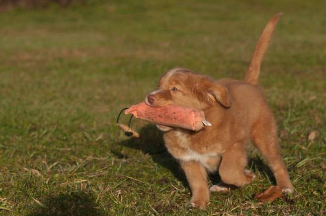 15910221_1903220403241047_660831884_n