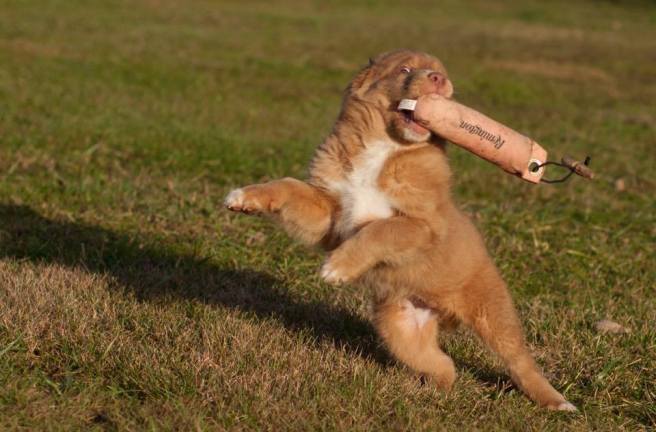 15935767_1903220399907714_29800682_n