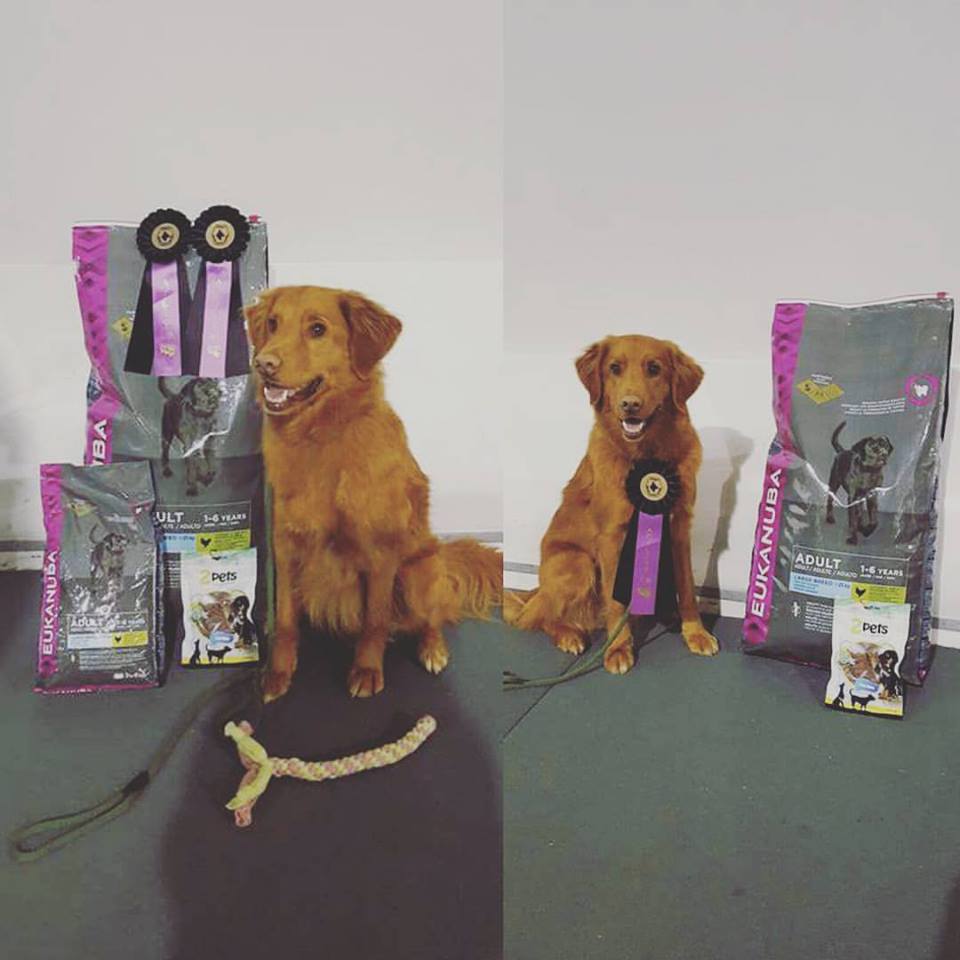 15094261_10153942935531466_6093389224885258673_n