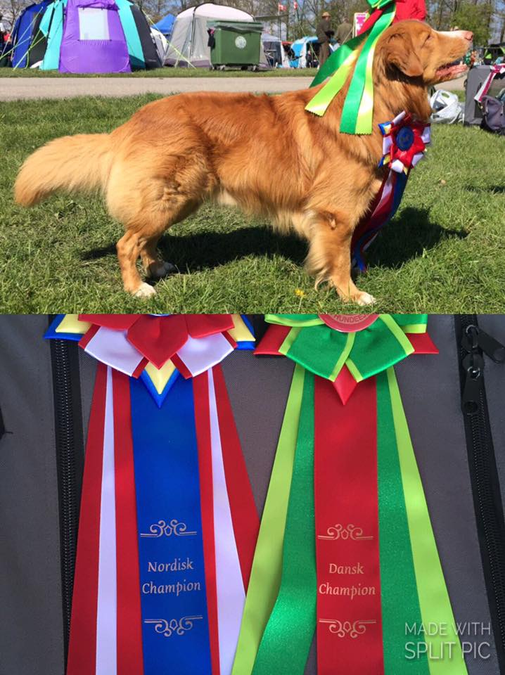 18221624_10155274513272258_7108608344033418389_n