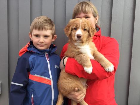 18342174_1421129291307469_2334545836806384198_n