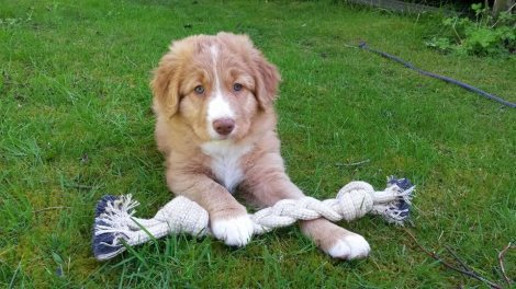 18446883_1886879971569096_2565651678905973262_n