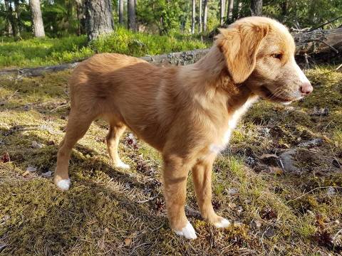 19989721_440850172974977_7096556569267745748_n