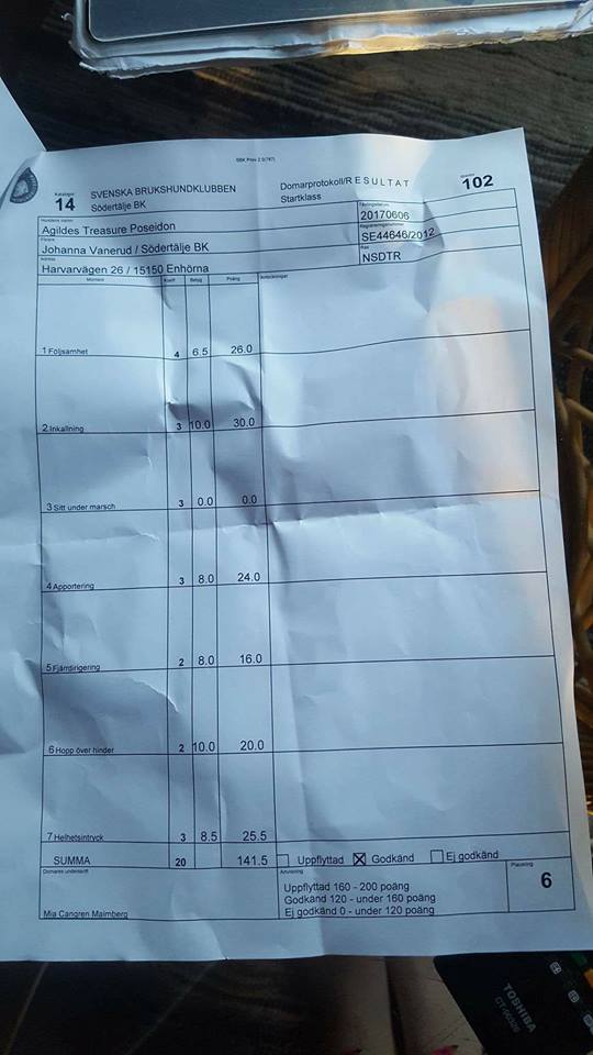 18813456_10154477322451466_5629255275788780757_n