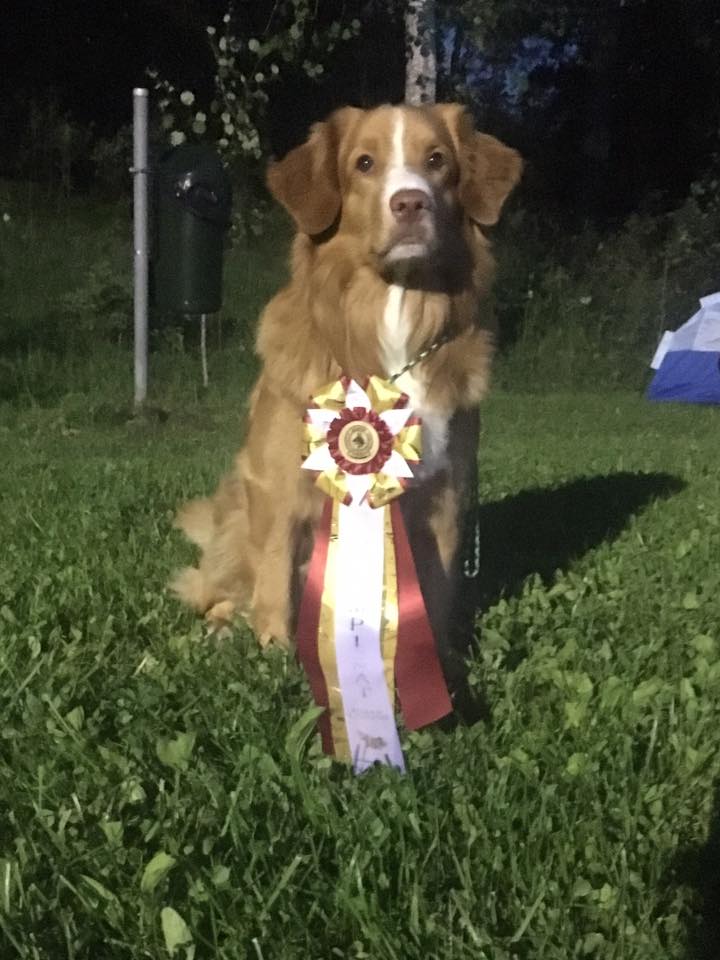 19511628_10155483705257258_6484984618534027027_n