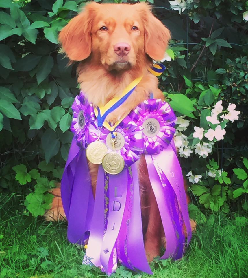 19601043_1535944439761533_7917255276793841691_n