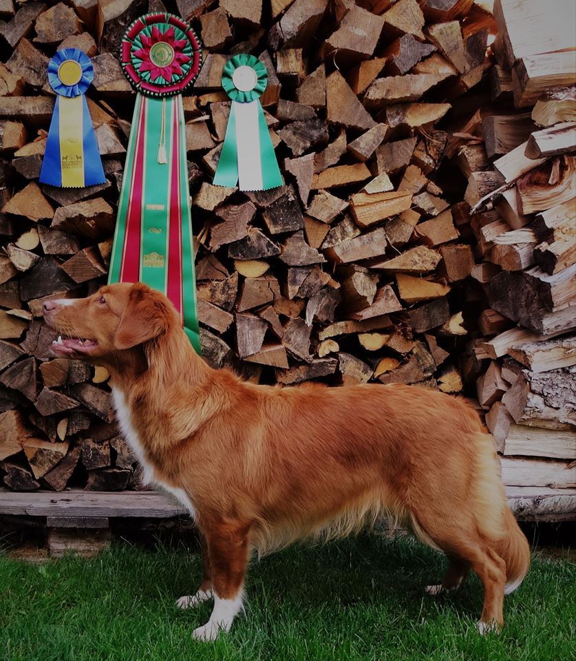 20882765_10155085597758655_6180390337933775464_n