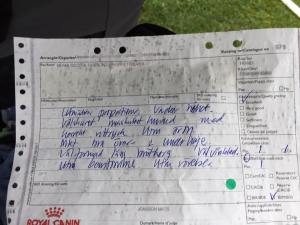 21370932_10155713605527258_1630088920537878848_n