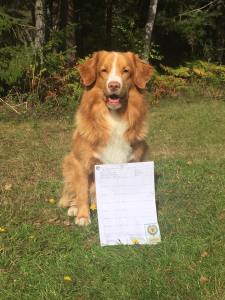 21430104_10155716725207258_4386477599811720224_n