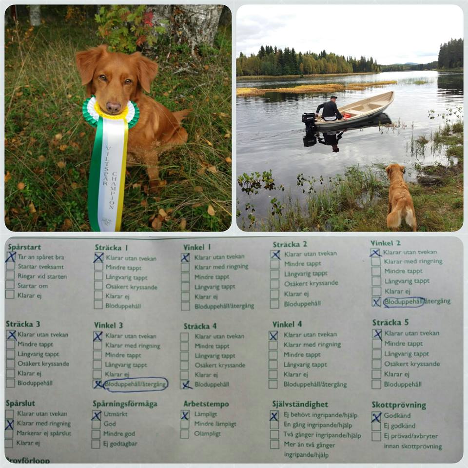 21463095_10209962859737194_9188479027585528177_n