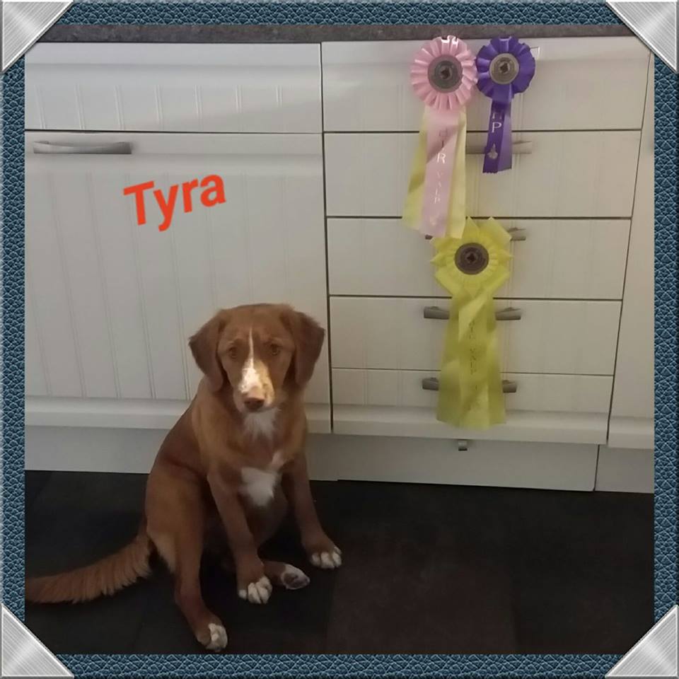 21463199_10155843915416600_3115307421528098582_n