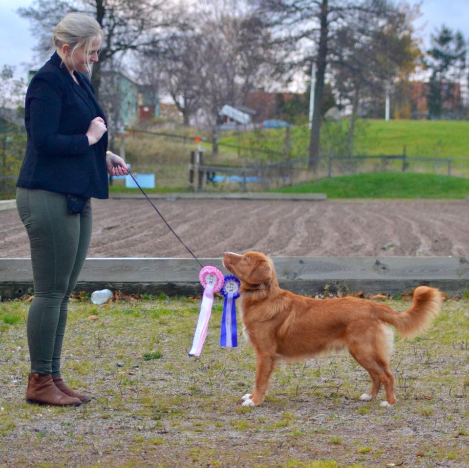 23319419_10212325673471370_6153865264590714414_n