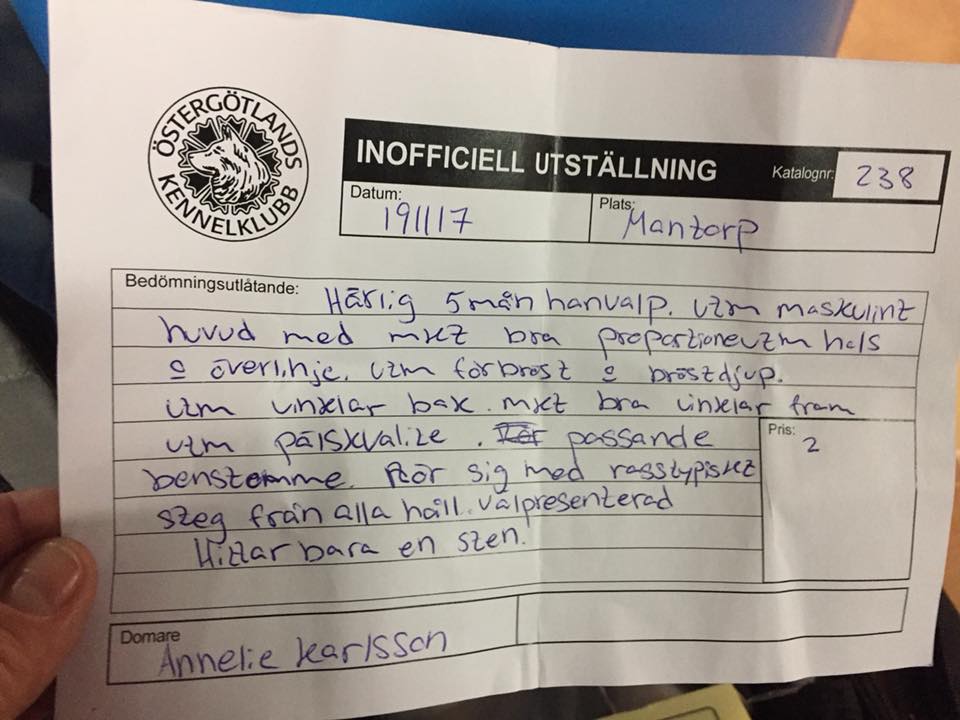 23795261_10155914937387258_8347325537199514780_n