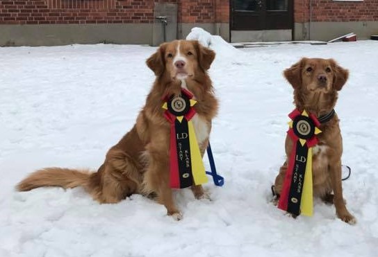 27544621_10156123886712258_5605943902700370289_n